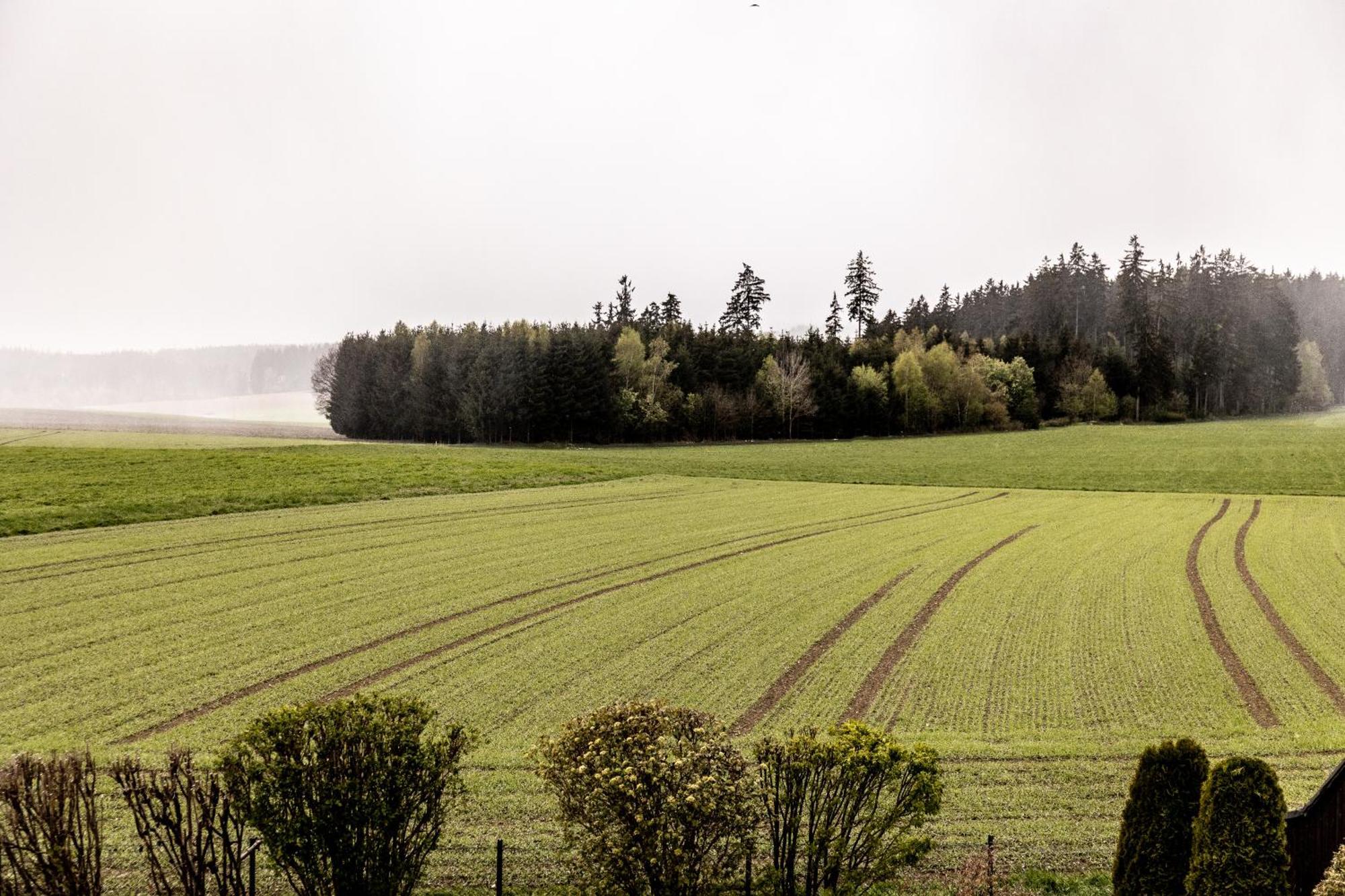 Ferienwohnung Fichtelblick Schonwald  Eksteriør billede